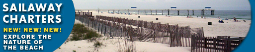 Florida Yacht Charters and Sales